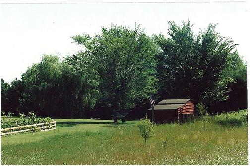 Una pequeña casa en la pradera, rodeada de pinos y abetos (DaMob … Tam M/Flickr)