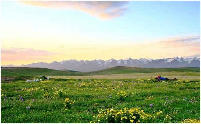 Mongolia se encuentra en la frontera norte de China y abarca toda la zona noreste y norte de China (cortesía: Gwanhae Seong).