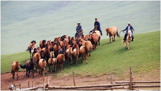 Mongolia cuenta con una amplia variedad de climas regionales (Imagen: Gwanhae Seong). 