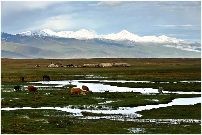 La meseta de Mongolia es amplia y abierta, con una altitud de 2,000 a 4,500 metros (Imagen: Gwanhae Seong).