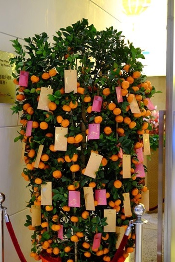 Naranjo con paquetes de color. (China Gaze)